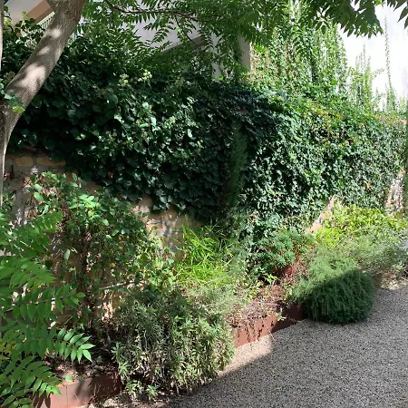 Cocoon Dans Maison Avec Et Jardin En Centre Alloggio in famiglia Digione