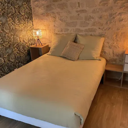 Cocoon Dans Maison Avec Et Jardin En Centre Homestay Dijon
