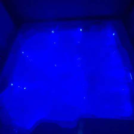 Cocoon Dans Maison Avec Et Jardin En Centre