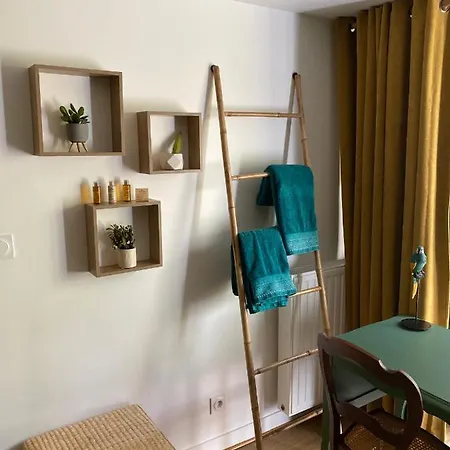 Cocoon Dans Maison Avec Et Jardin En Centre Homestay Dijon