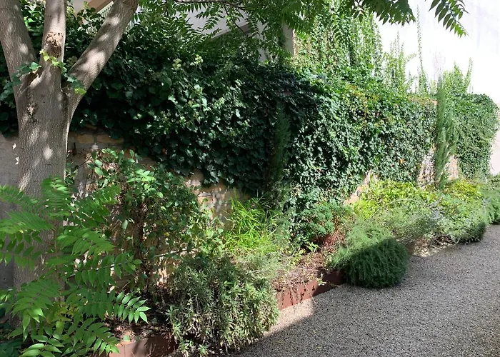 Cocoon Dans Maison Avec Et Jardin En Centre Kwatera prywatna Dijon