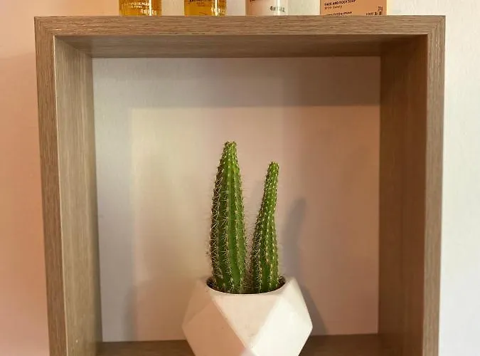 Cocoon Dans Maison Avec Et Jardin En Centre *