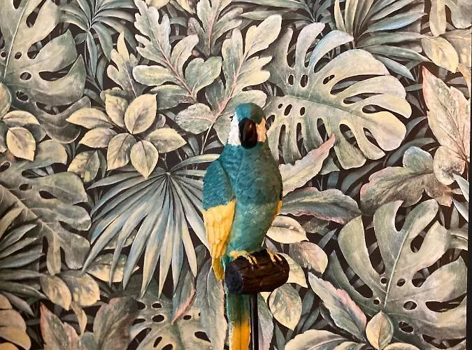 Kwatera prywatna Cocoon Dans Maison Avec Et Jardin En Centre *